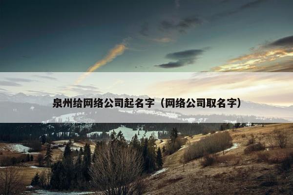 泉州给网络公司起名字（网络公司取名字）