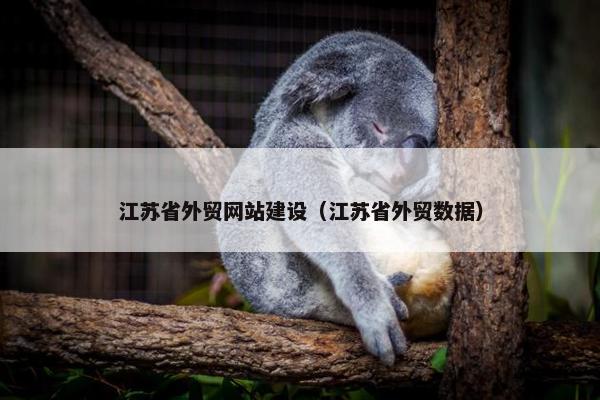 江苏省外贸网站建设（江苏省外贸数据）
