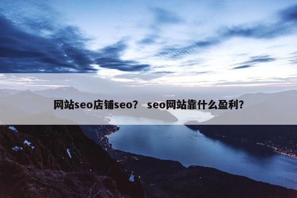 网站seo店铺seo？ seo网站靠什么盈利？