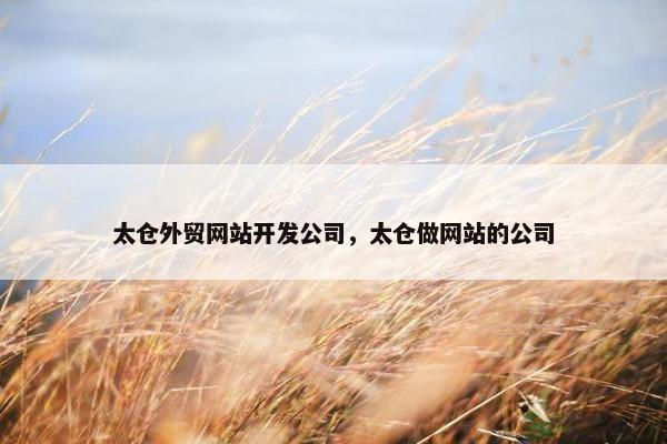 太仓外贸网站开发公司，太仓做网站的公司