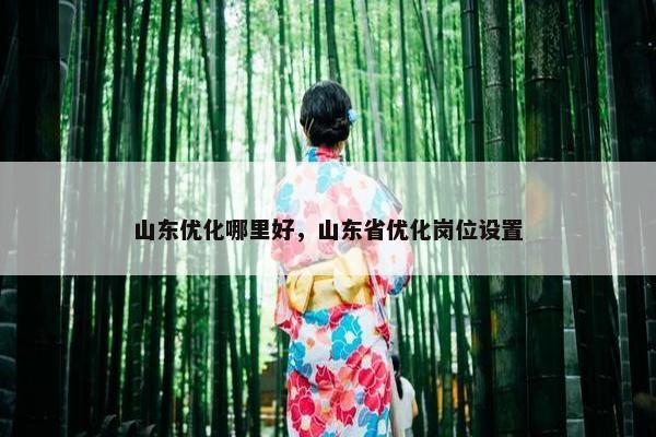 山东优化哪里好，山东省优化岗位设置
