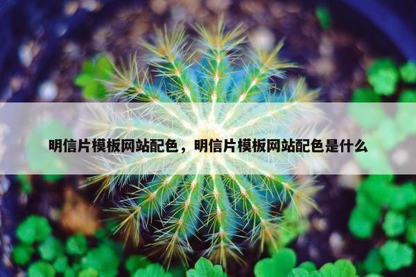 明信片模板网站配色，明信片模板网站配色是什么