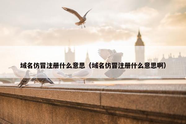 域名仿冒注册什么意思（域名仿冒注册什么意思啊）