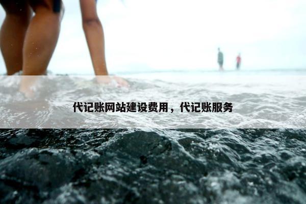 代记账网站建设费用，代记账服务