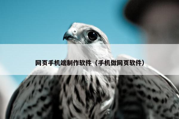 网页手机端制作软件（手机做网页软件）