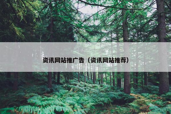 资讯网站推广告（资讯网站推荐）
