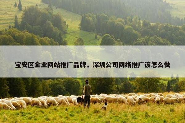 宝安区企业网站推广品牌，深圳公司网络推广该怎么做