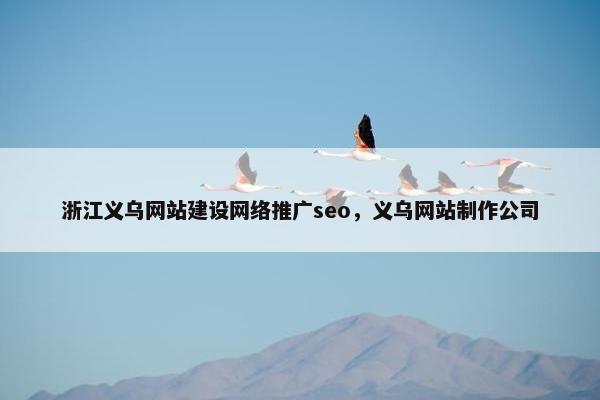 浙江义乌网站建设网络推广seo，义乌网站制作公司