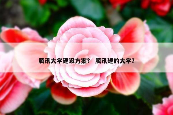 腾讯大学建设方案？ 腾讯建的大学？
