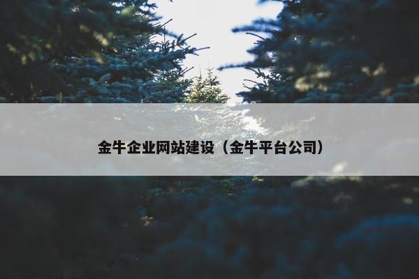 金牛企业网站建设（金牛平台公司）