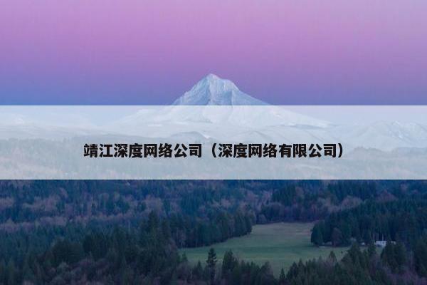 靖江深度网络公司（深度网络有限公司）