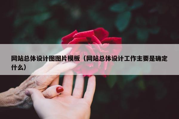 网站总体设计图图片模板（网站总体设计工作主要是确定什么）