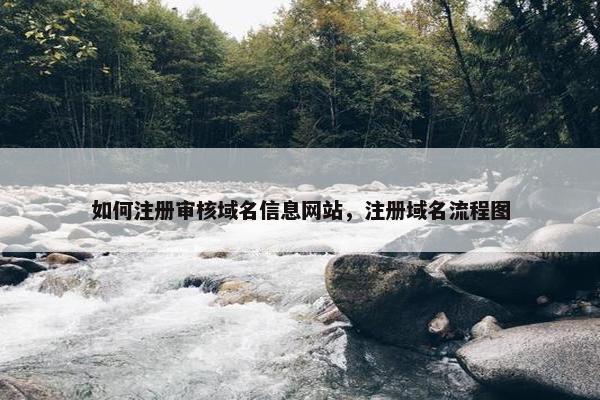 如何注册审核域名信息网站，注册域名流程图