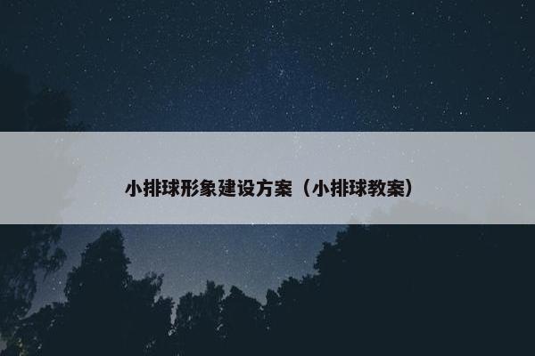 小排球形象建设方案（小排球教案）