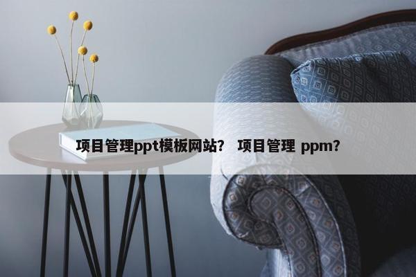 项目管理ppt模板网站？ 项目管理 ppm？