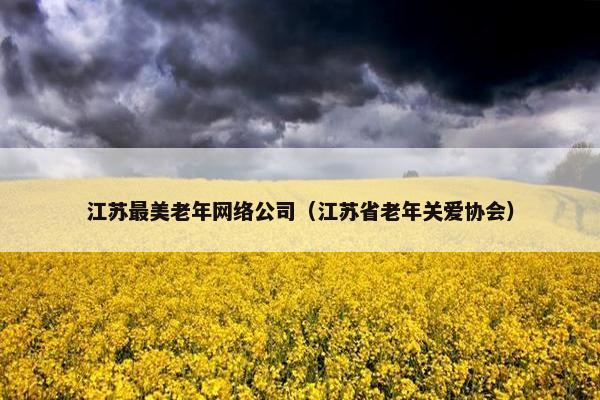 江苏最美老年网络公司（江苏省老年关爱协会）