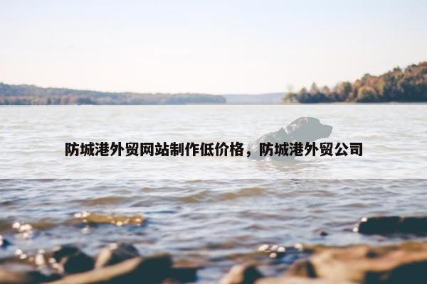 防城港外贸网站制作低价格，防城港外贸公司