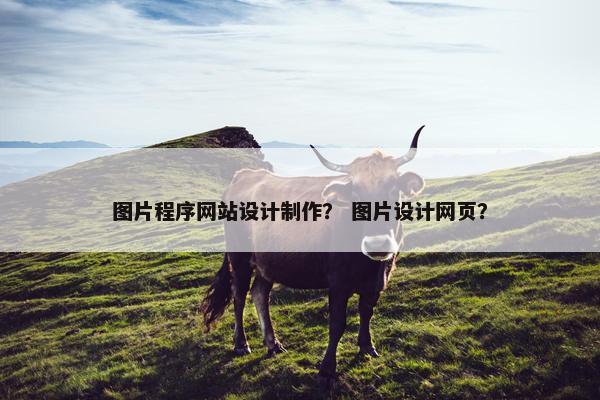 图片程序网站设计制作？ 图片设计网页？
