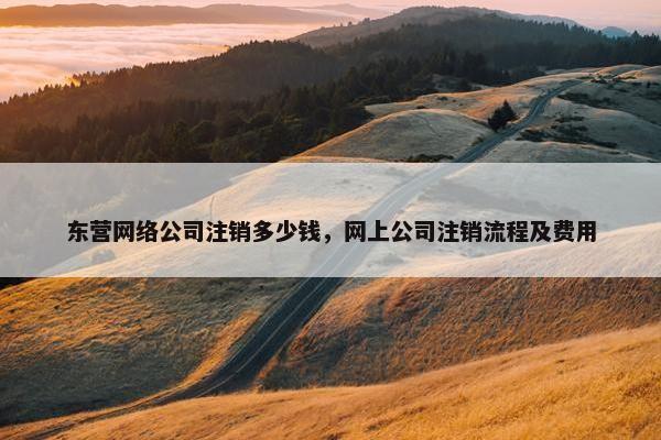 东营网络公司注销多少钱，网上公司注销流程及费用