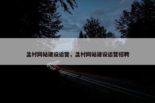 孟村网站建设运营，孟村网站建设运营招聘