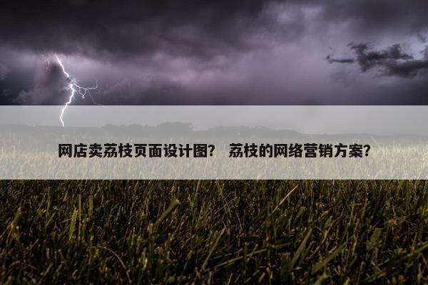 网店卖荔枝页面设计图？ 荔枝的网络营销方案？