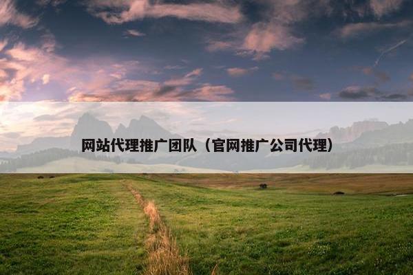 网站代理推广团队（官网推广公司代理）