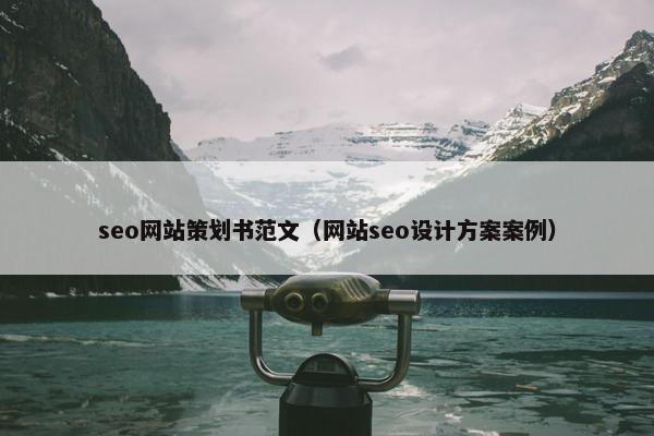 seo网站策划书范文（网站seo设计方案案例）