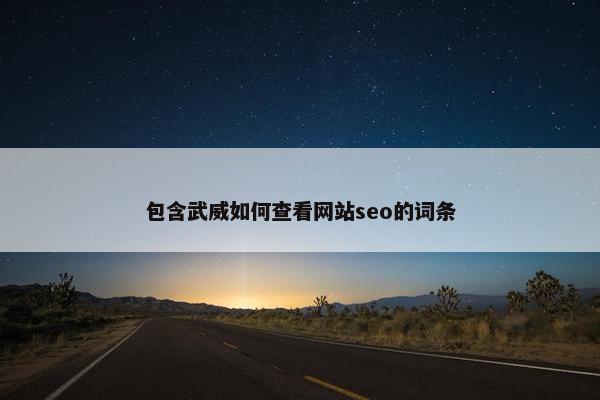 包含武威如何查看网站seo的词条