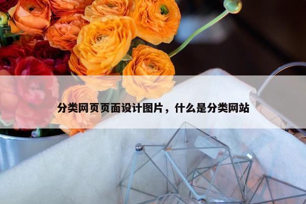 分类网页页面设计图片，什么是分类网站