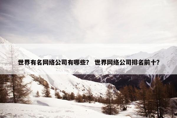 世界有名网络公司有哪些？ 世界网络公司排名前十？