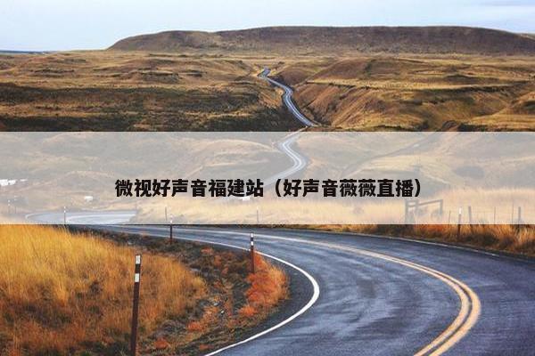 微视好声音福建站（好声音薇薇直播）