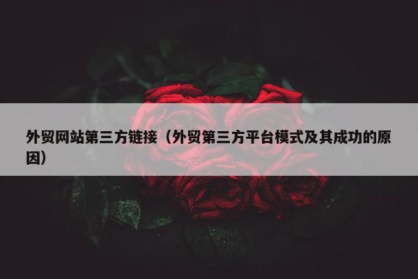 外贸网站第三方链接（外贸第三方平台模式及其成功的原因）