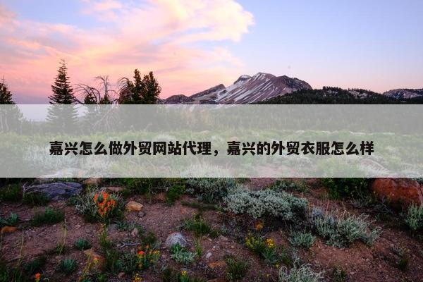 嘉兴怎么做外贸网站代理，嘉兴的外贸衣服怎么样
