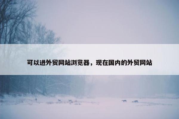 可以进外贸网站浏览器，现在国内的外贸网站