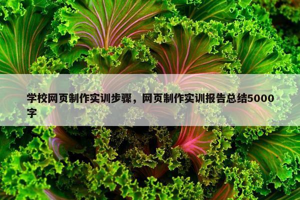 学校网页制作实训步骤，网页制作实训报告总结5000字