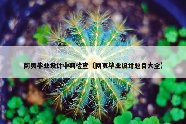 网页毕业设计中期检查（网页毕业设计题目大全）