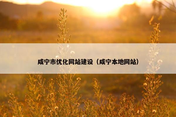 咸宁市优化网站建设（咸宁本地网站）