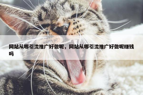 网站从哪引流推广好做呢，网站从哪引流推广好做呢赚钱吗