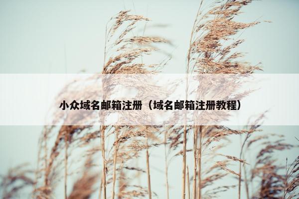 小众域名邮箱注册（域名邮箱注册教程）