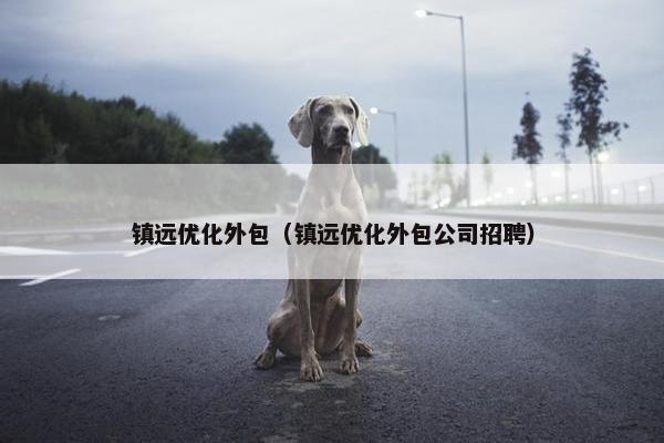 镇远优化外包（镇远优化外包公司招聘）