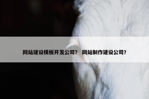 网站建设模板开发公司？ 网站制作建设公司？