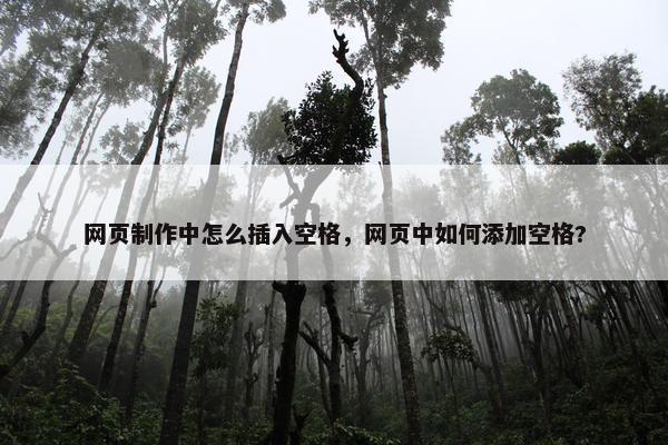 网页制作中怎么插入空格，网页中如何添加空格?