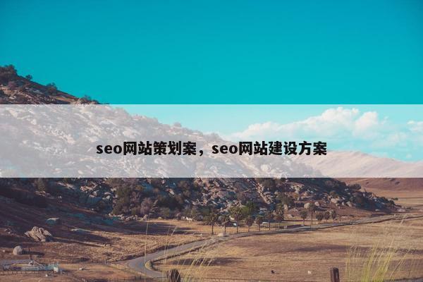 seo网站策划案，seo网站建设方案