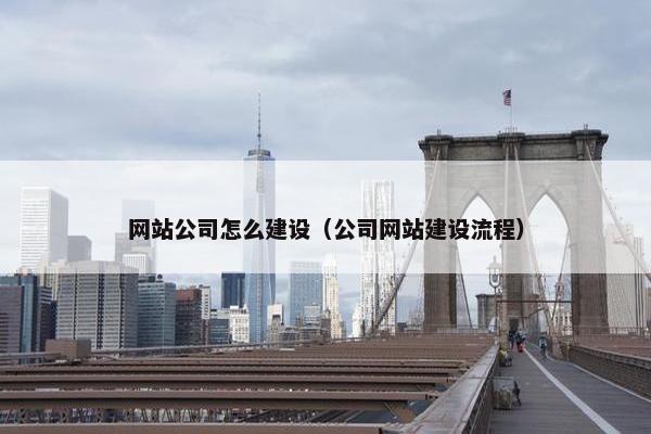 网站公司怎么建设（公司网站建设流程）
