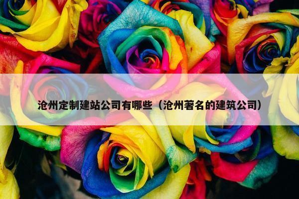 沧州定制建站公司有哪些（沧州著名的建筑公司）