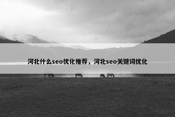 河北什么seo优化推荐，河北seo关键词优化
