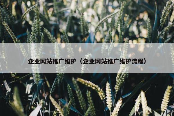 企业网站推广维护（企业网站推广维护流程）