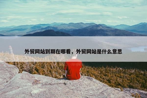 外贸网站到期在哪看，外贸网站是什么意思