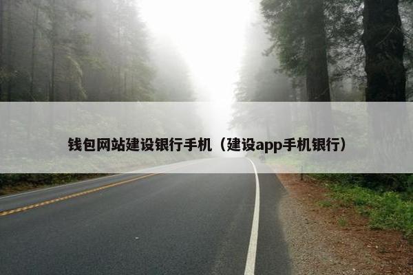 钱包网站建设银行手机（建设app手机银行）