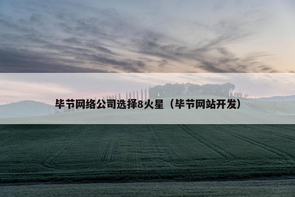 毕节网络公司选择8火星（毕节网站开发）